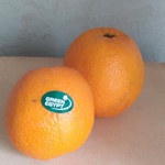 Апельсины "Green Egypt» фото 1 