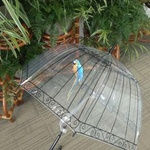 Зонт-трость "Райская птица" от Leomax фото 3 