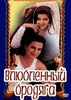 Фильм "Влюблённый бродяга" (1993)