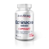 Be First Echinacea extract (Экстракт эхинацеи)