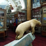 Российский музей Арктики и Антарктики, Г. Санкт-Петербург фото 2 