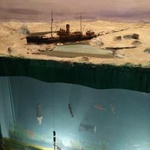 Российский музей Арктики и Антарктики, Г. Санкт-Петербург фото 4 