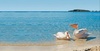 Отель "Nissi Beach" 4*, Кипр