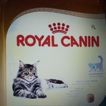Royal Canin для котов и кошек фото 1 