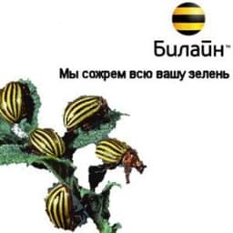 Билайн интернет тверь