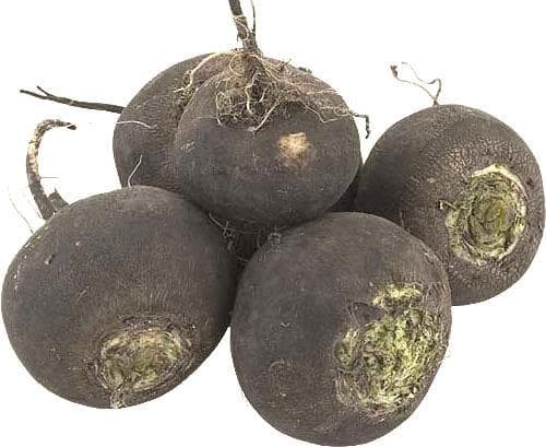 Редька (овощ)
