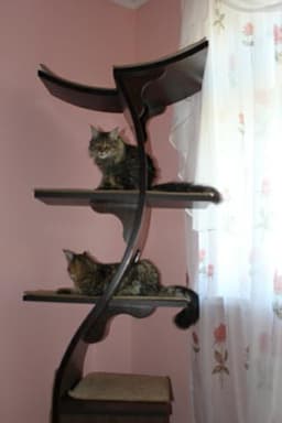 Кошкин дом