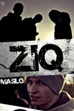 ZiQ