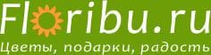 Магазин floribu.ru