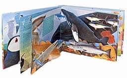 Книга "3d Океан" Вуд Дж. А., Дэвис Валери