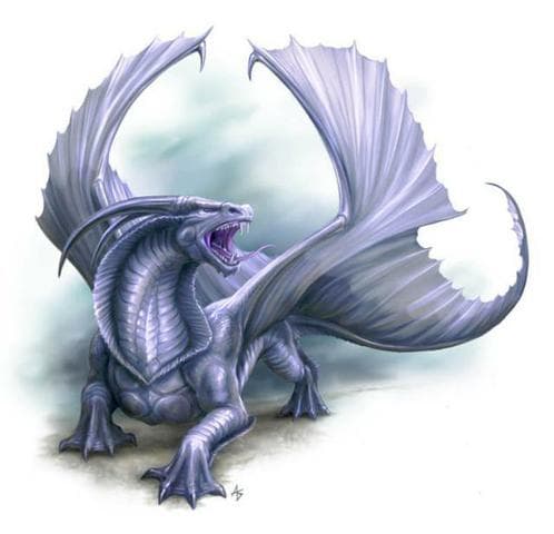 DragN