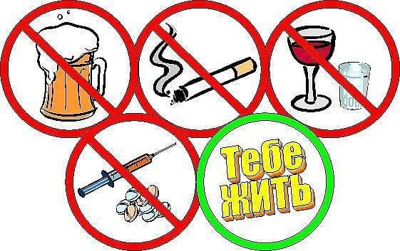 Здоровый образ жизни