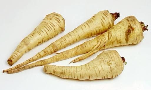 Корень пастернака