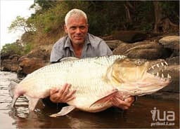 Передача "Речные монстры", Discovery Channel