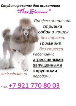 ЗООСАЛОН "PETS GLAMOUR" в Колпино