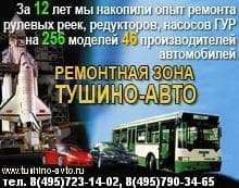 Автосервис "Ремонтная зона Тушино-Авто", Москва