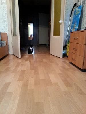 House Parket