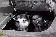 Сериал "Четыре танкиста и собака" (1966)