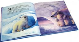 Книга "Как медвежонок солнце искал" Хейзел Линкольн