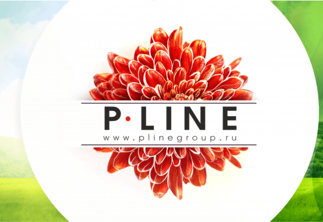Все о компании «PlineGroup»