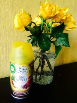 Air Wick Life Scents