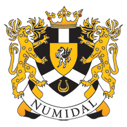 Компания "Numidal" Прокат яхт и катеров в СПб