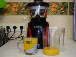 Соковыжималка Tribest Slowstar SW-2000 Tribest Corporation