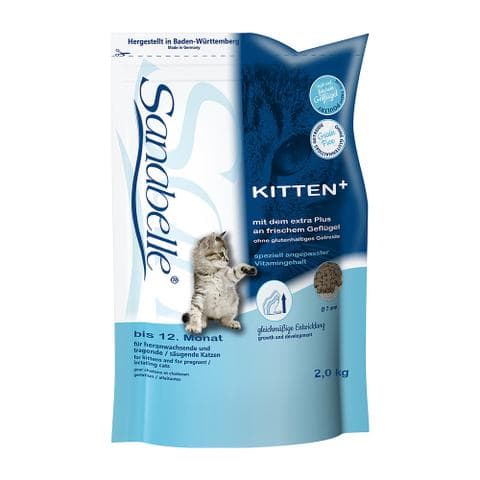 Sanabelle Kitten