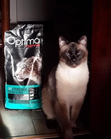 Сухой корм Optimanova