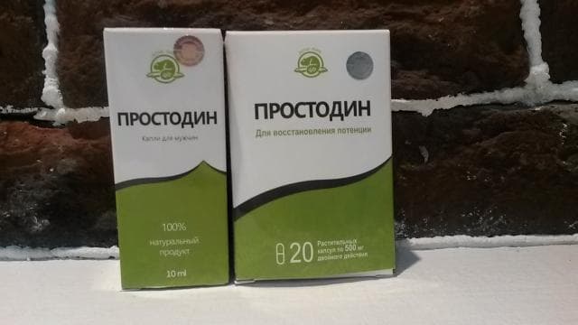 Простодин