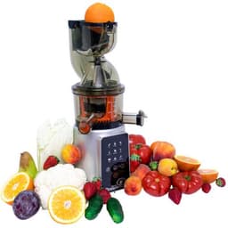 Соковыжималка RawMID Dream Juicer JDP-01