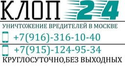 Клоп 24, Москва