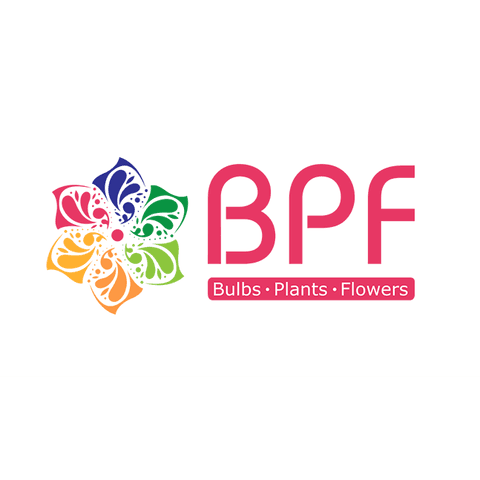 BPF