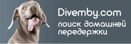 Divemby - передержка животных в домашних условиях, Москва