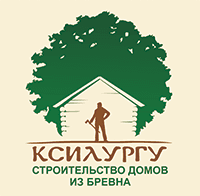 Ксилургу, Брянск