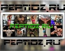 Peptidz.ru