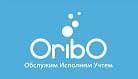 Орибо- блестящее решение проблем