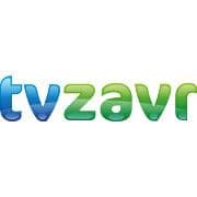 Кинотеатр "Интернет-кинотеатр tvzavr.ru", Москва