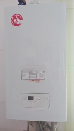 Настенный газовый котел Protherm Gepard 23 MTV
