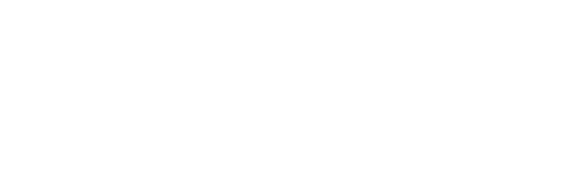 Aerotur.travel