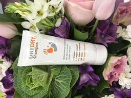 Шампунь Dry Dry Shampoo