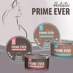 Консервы для кошек Prime Ever