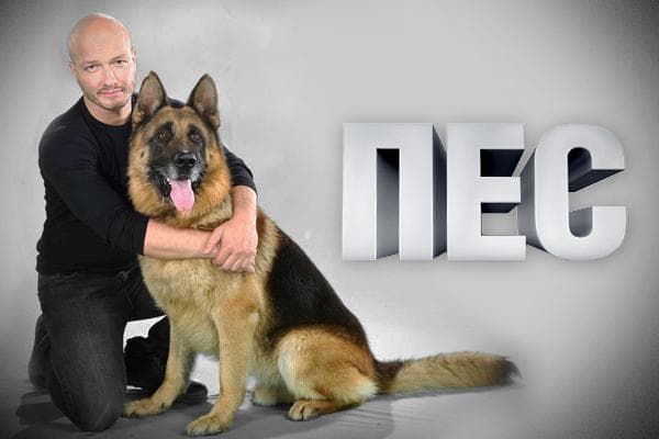Сериал "Пес" (2015)