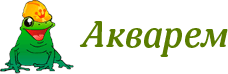 Акварем, Г  Москва