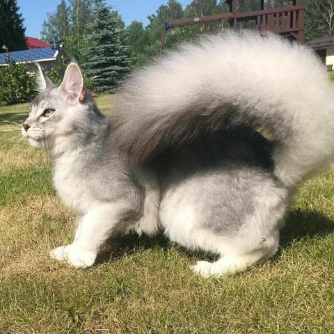Молоко