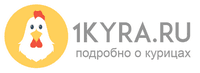 1Кура
