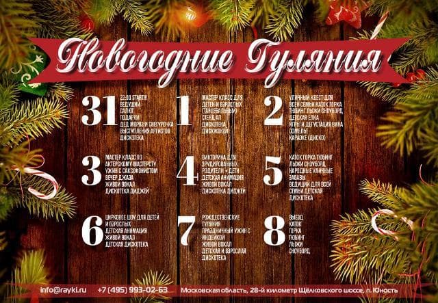 Новогодняя программа отель Райки в Подмосковье