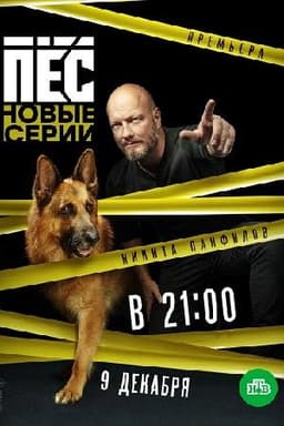 Сериал "Пёс" (2015)