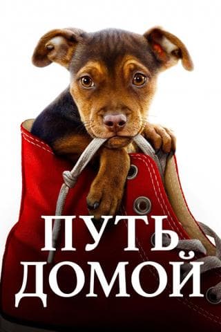 Фильм "Путь домой" (2019)