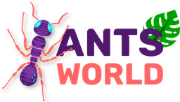 Муравьиная ферма Ants World
